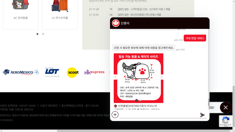반려동물 서비스를 안내하는 AI챗봇, 단풍이