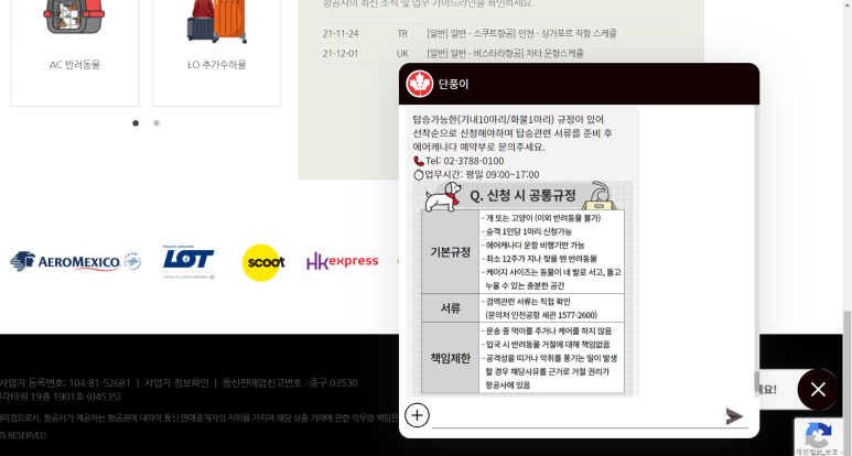 반려동물 서비스를 안내하는 AI챗봇, 단풍이