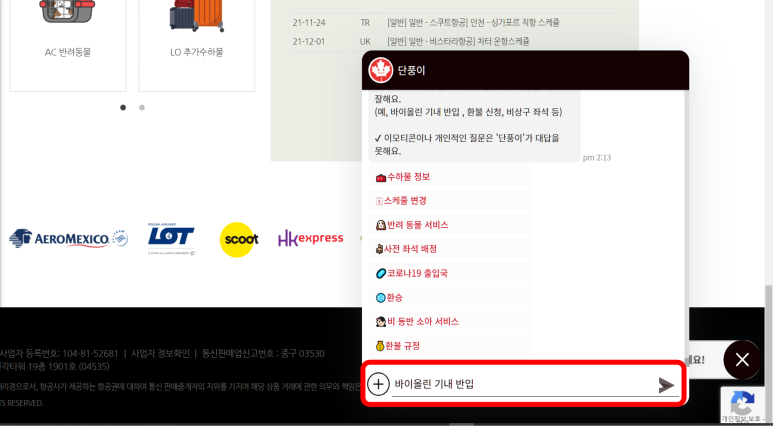 '바이올린 기내 반입' 입력한 AI챗봇, 단풍이